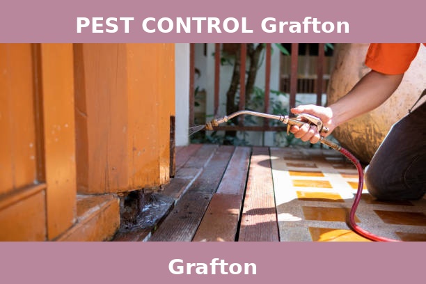 PEST CONTROL Grafton